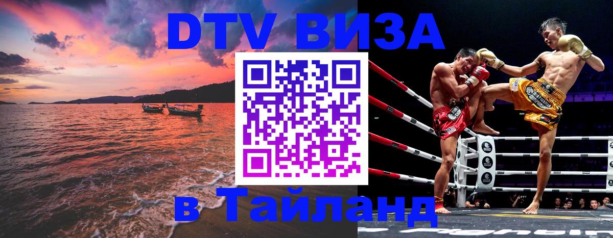 Цены на DTV визу в Таиланд — пакеты услуг, достаточно даже паспорта - Благовещенск  04.10.2025 